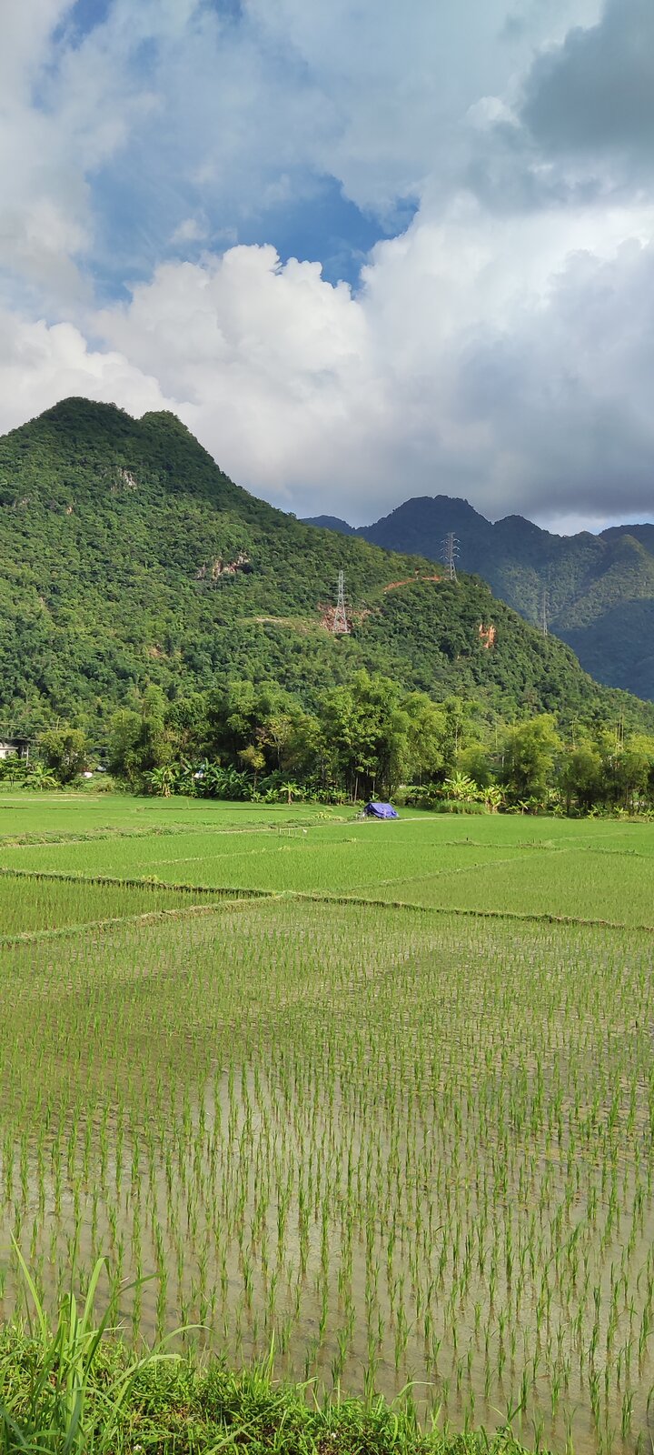 마이쩌우(Mai Chau) 현지편, 계획보다 느리고 조용했던 초록 계곡의 실제 기록
